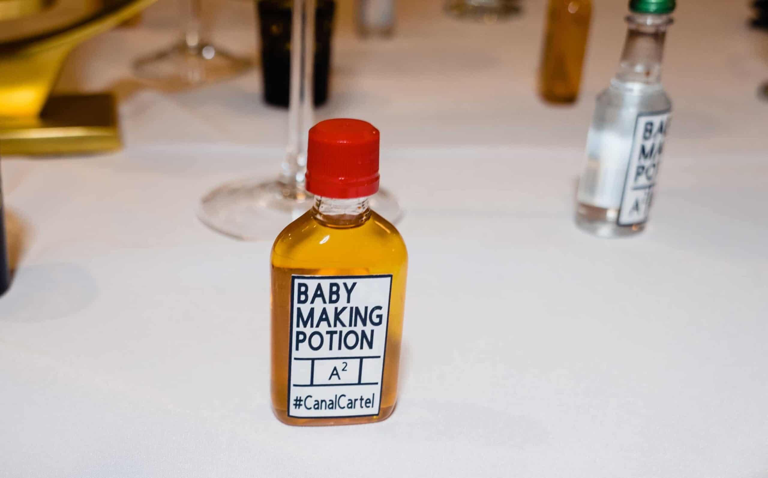 Baby shower inspiration twins