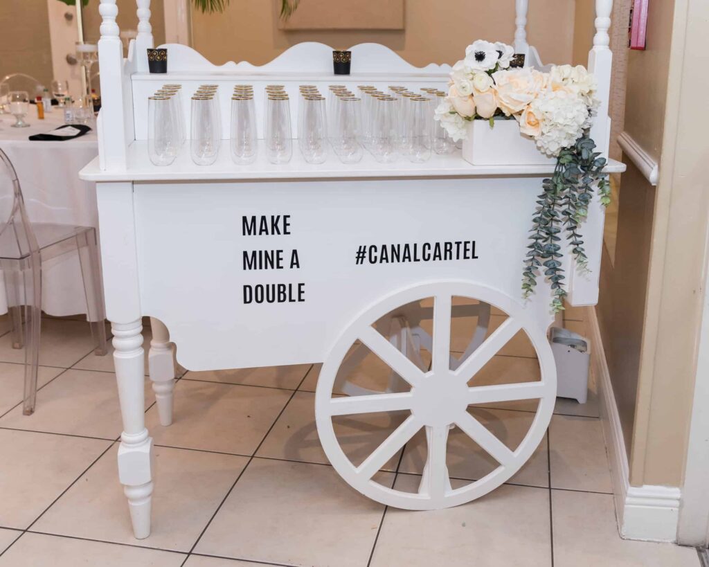 Baby shower inspiration twins